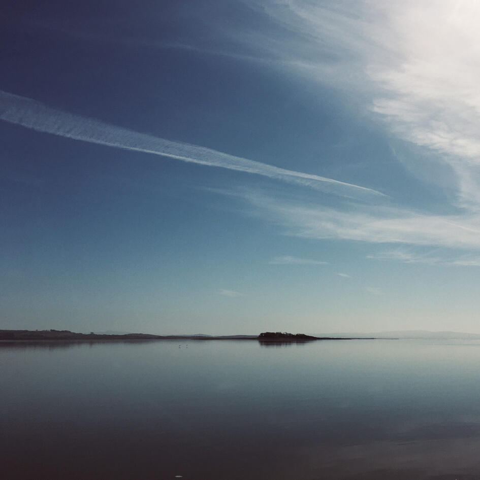 Lucidity